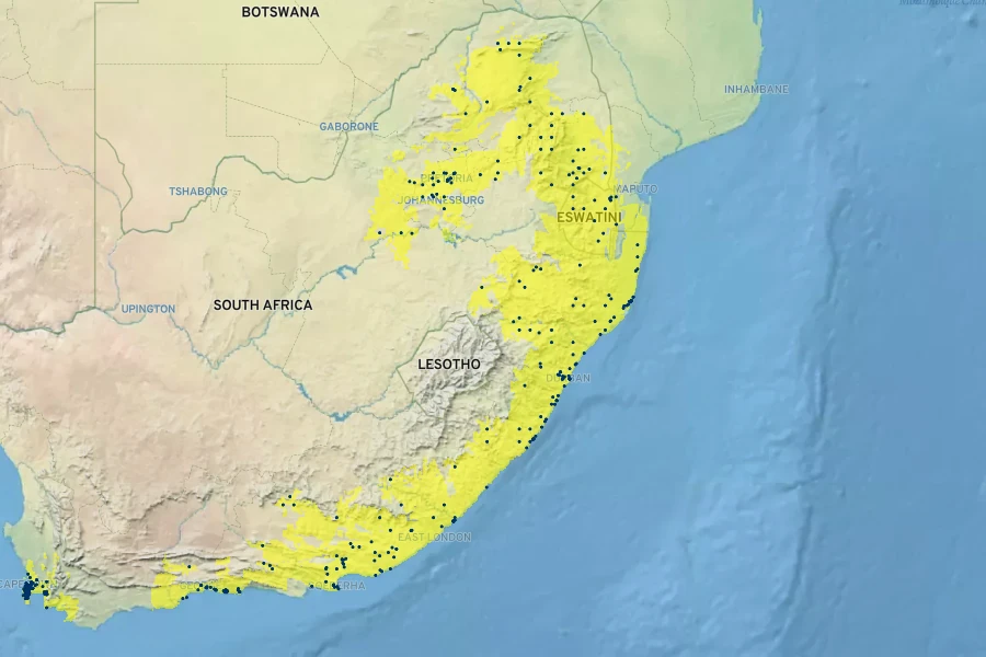 Barleria obtusa Native Range