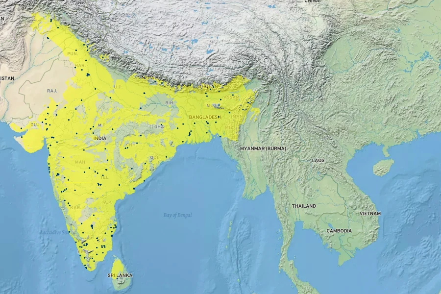 Bauhinia purpurea Native Range