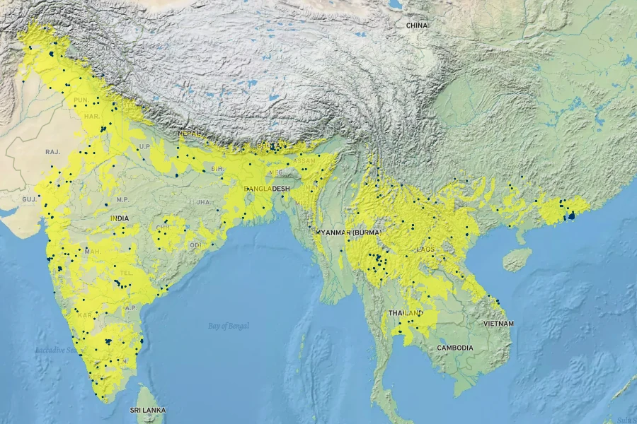 Bauhinia variegata Native Range