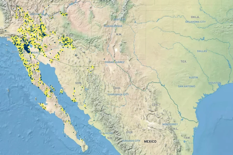 Bebbia juncea var. aspera Native Range