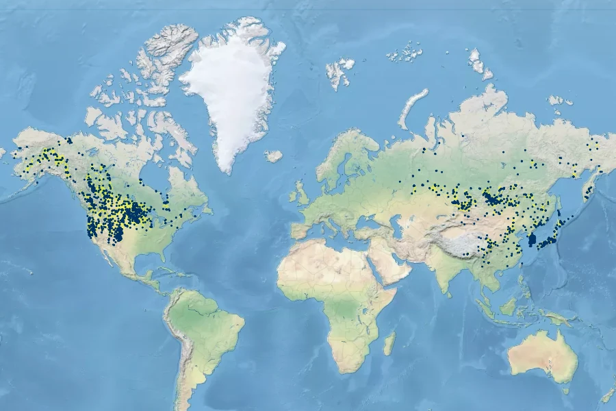 Beckmannia syzigachne Native Range