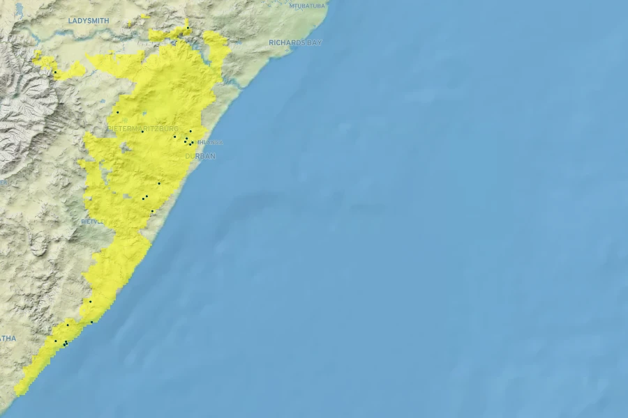 Begonia dregei Native Range