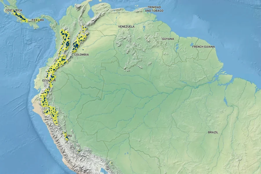 Begonia urticae Native Range