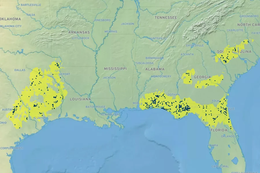 Berlandiera pumila Native Range