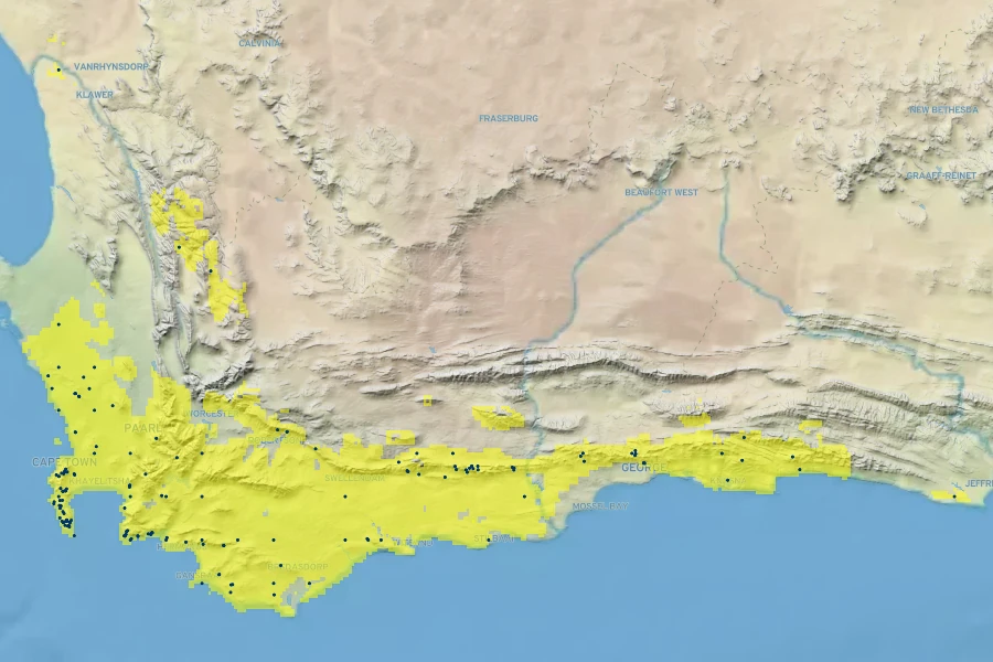 Berzelia abrotanoides Native Range