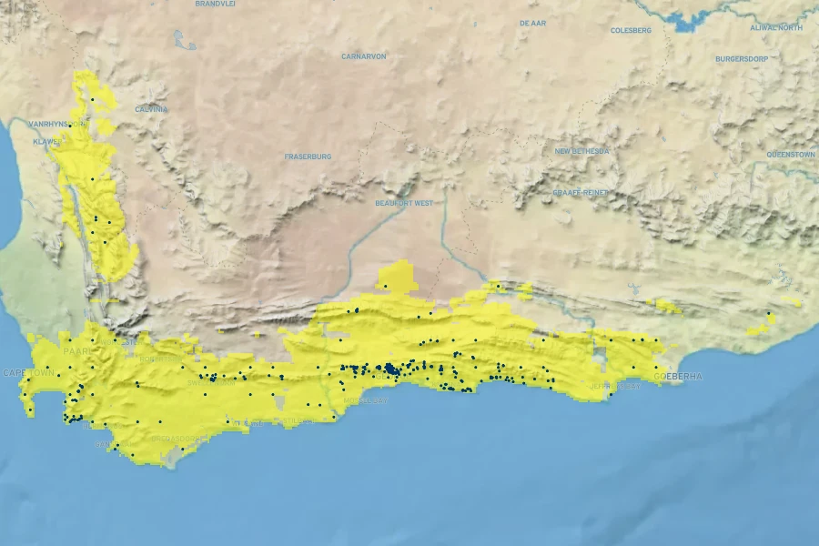 Berzelia intermedia Native Range