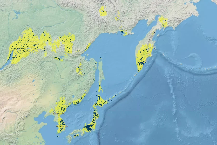 Betula ermanii Native Range