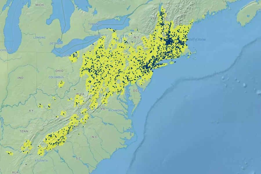 Betula lenta Native Range