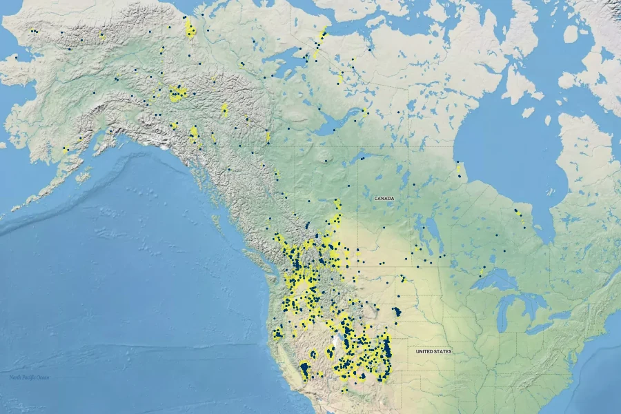 Betula occidentalis Native Range