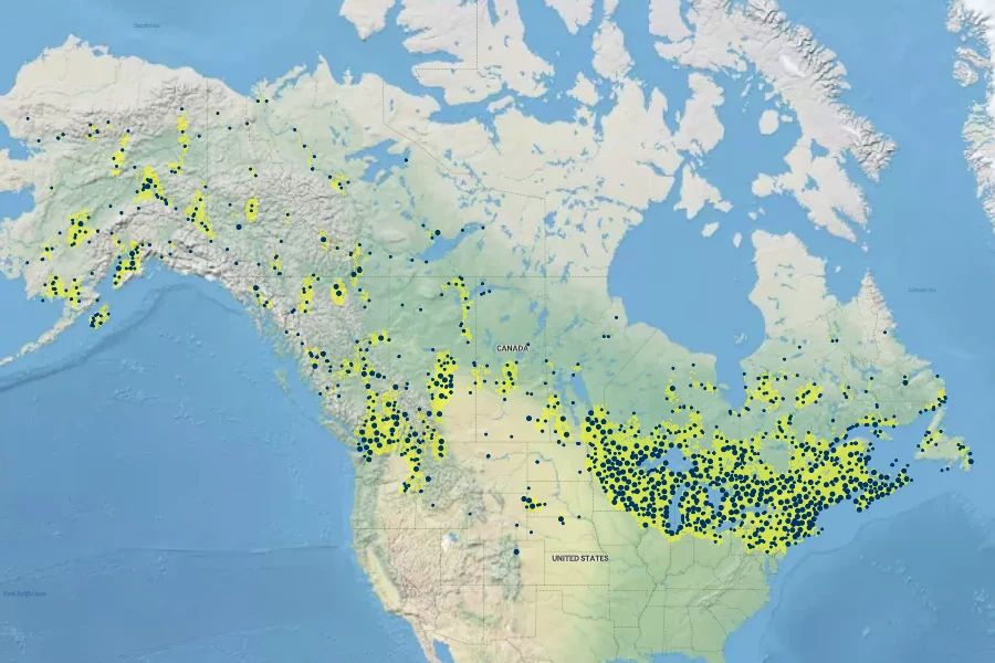 Betula papyrifera Native Range