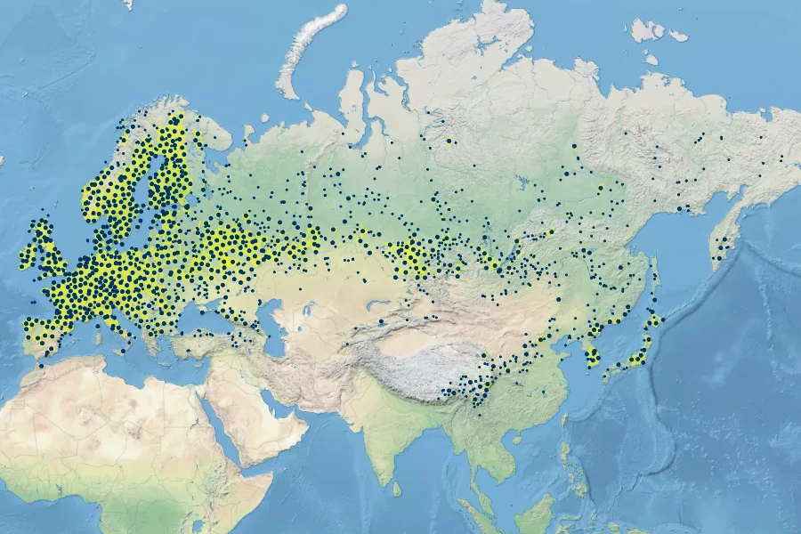 Betula pendula Native Range