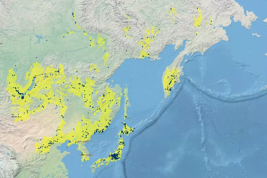 Betula platyphylla Native Range