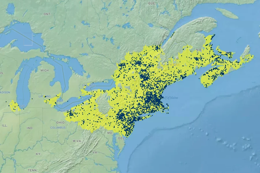 Betula populifolia Native Range