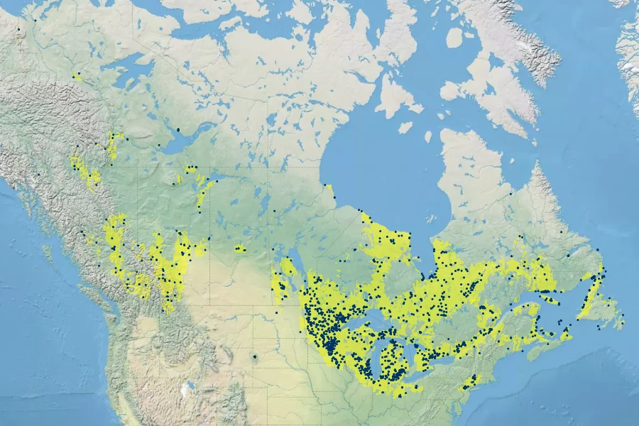 Betula pumila Native Range