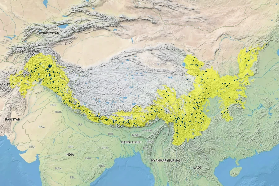 Betula utilis Native Range