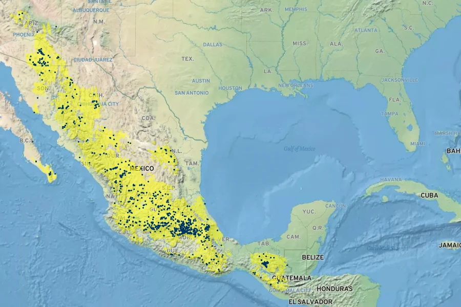 Bidens aurea Native Range