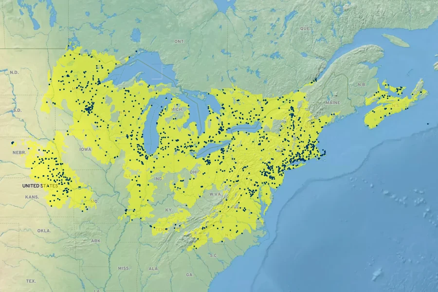 Bidens connata Native Range