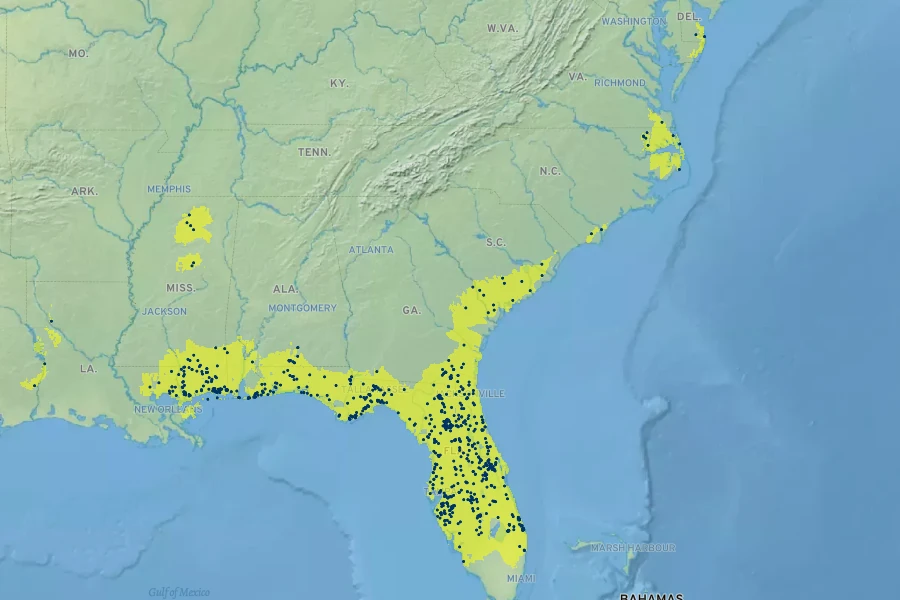 Bidens mitis Native Range
