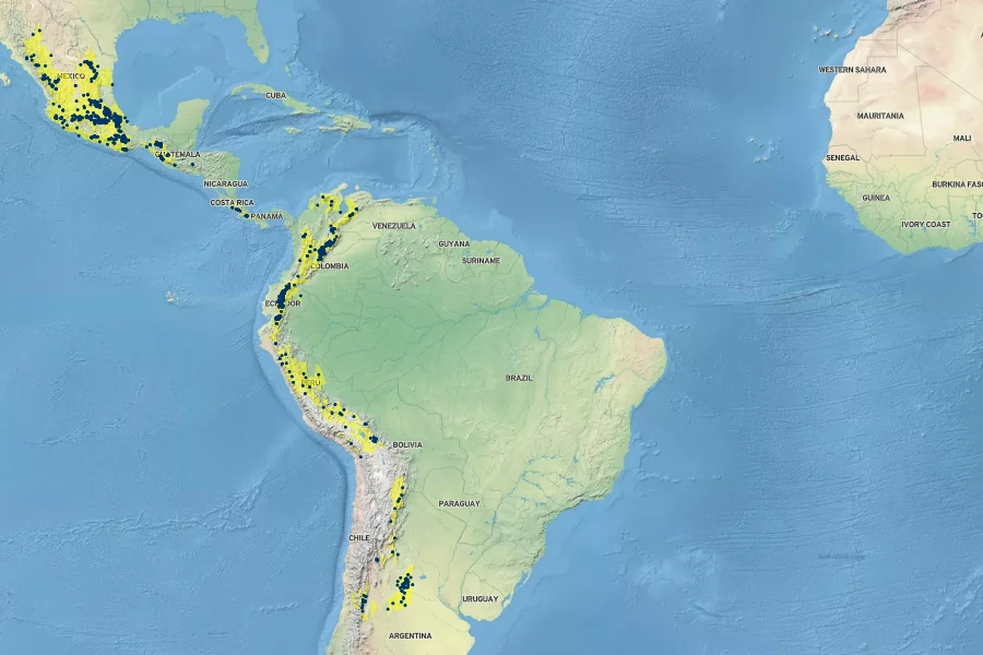 Bidens triplinervia Native Range