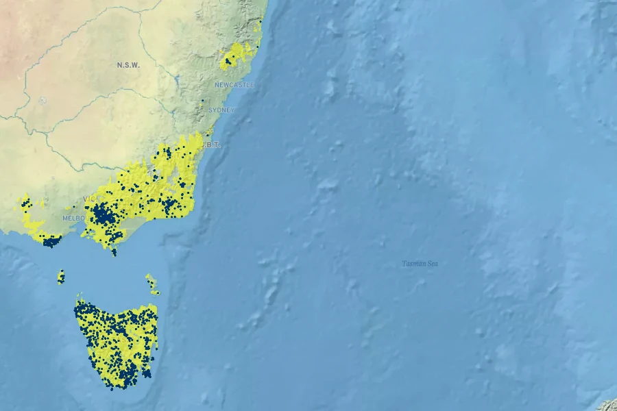 Billardiera longiflora Native Range