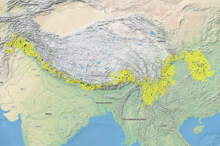 Bistorta amplexicaulis Native Range