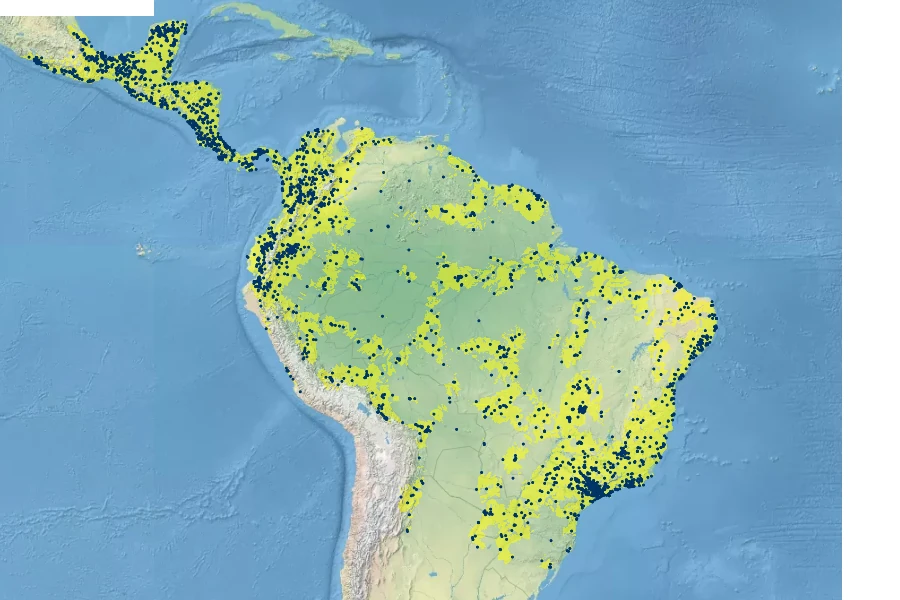 Bixa orellana Native Range