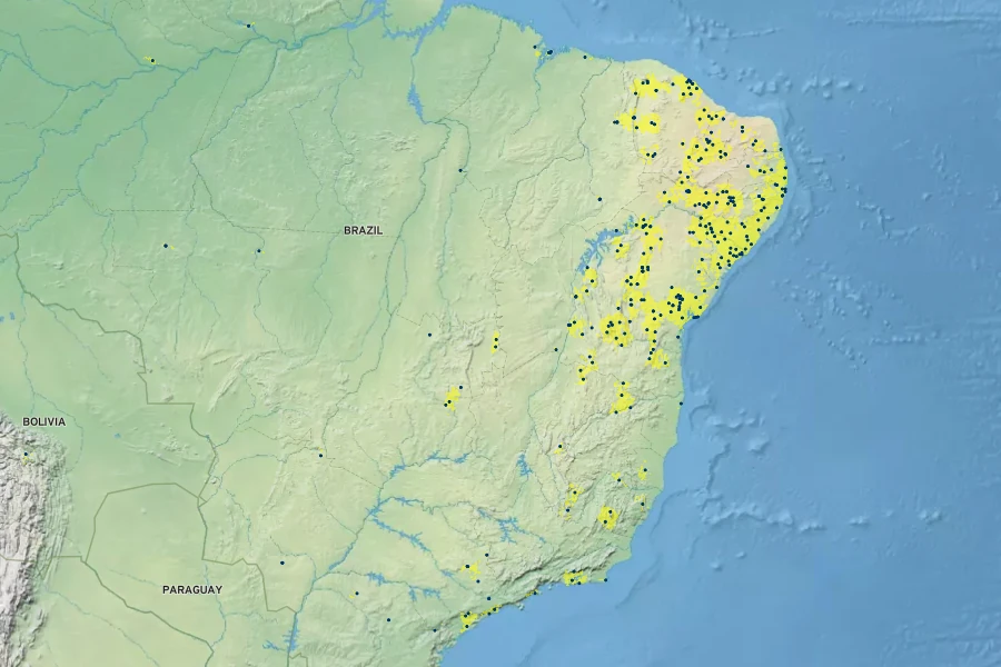 Blainvillea acmella Native Range