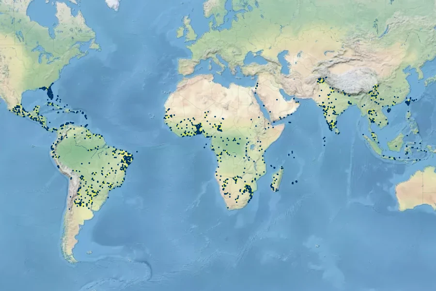 Boerhavia diffusa Native Range