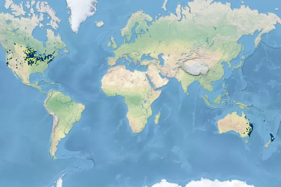 Bolboschoenus fluviatilis Native Range