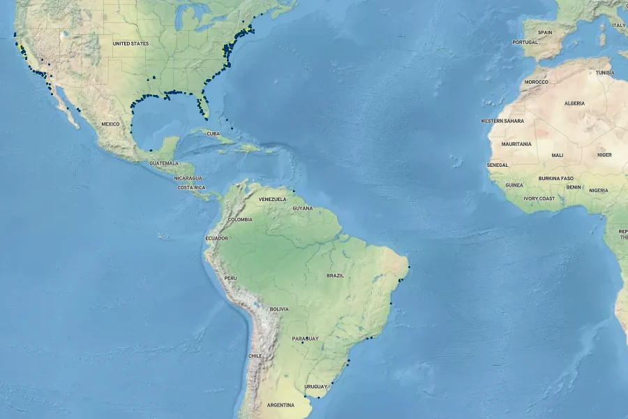 Bolboschoenus robustus Native Range