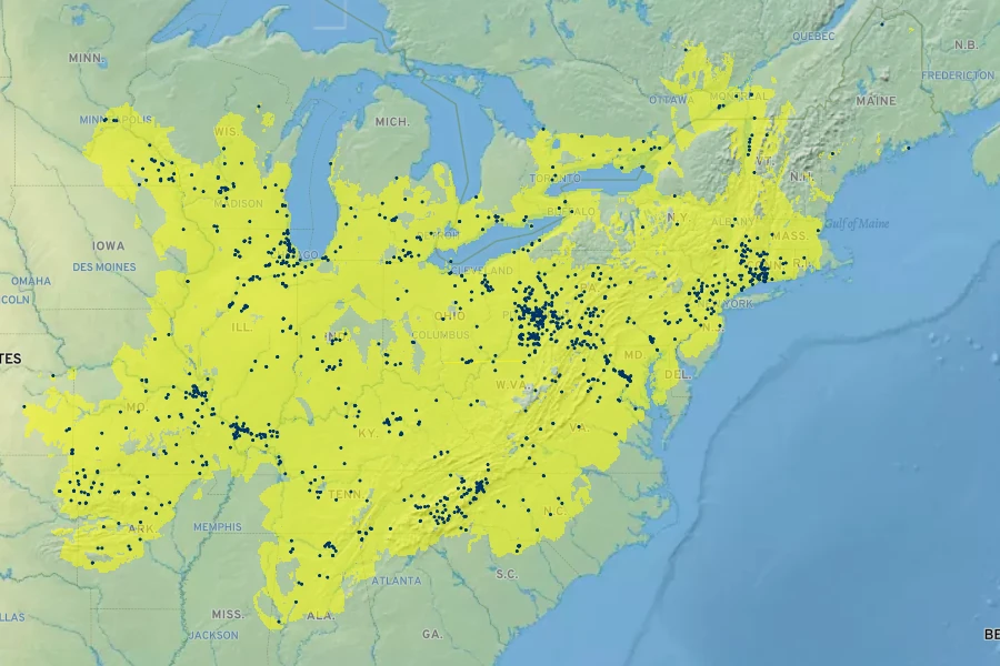 Borodinia laevigata Native Range