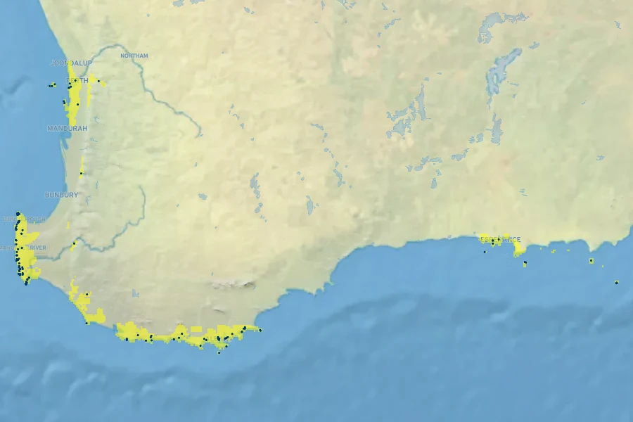 Boronia alata Native Range