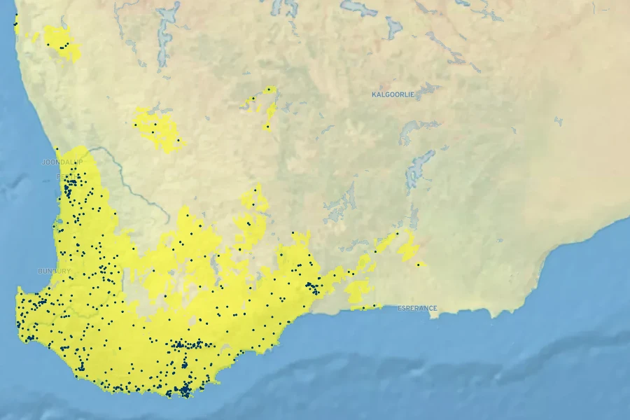 Boronia crenulata Native Range