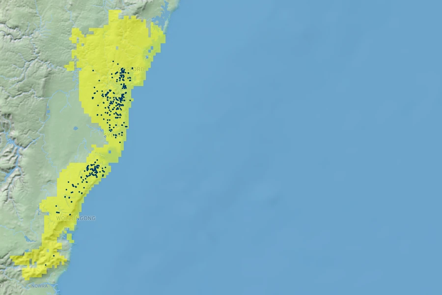Boronia serrulata Native Range