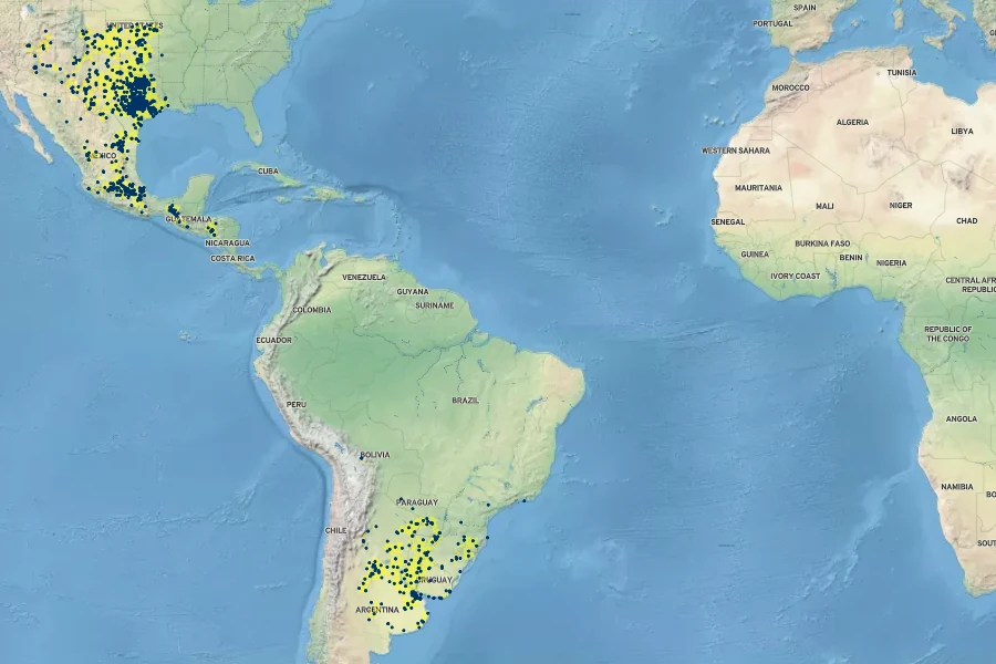 Bothriochloa laguroides Native Range
