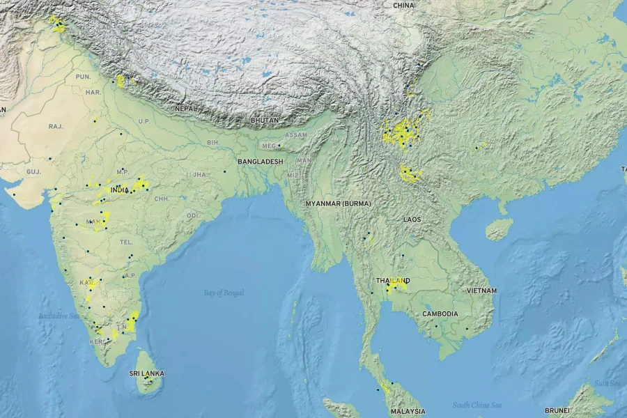 Bothriochloa pertusa Native Range