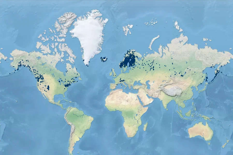Botrychium lanceolatum Native Range