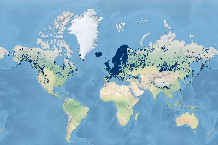 Botrychium lunaria Native Range