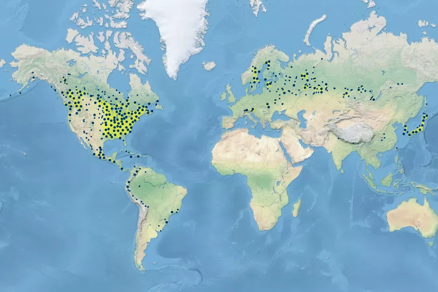 Botrypus virginianus Native Range