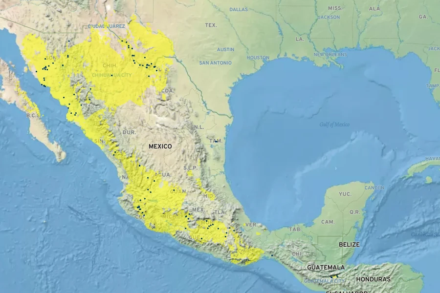 Bouteloua erecta Native Range