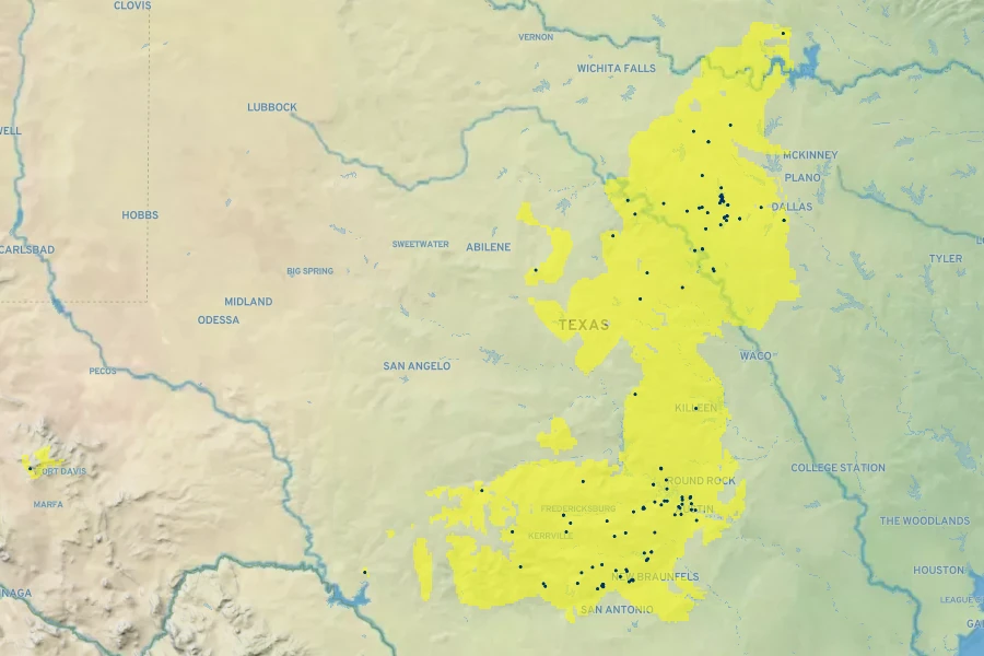 Bouteloua pectinata Native Range