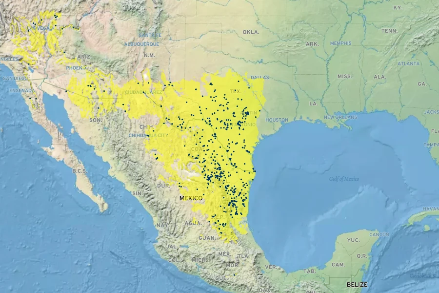 Bouteloua trifida Native Range