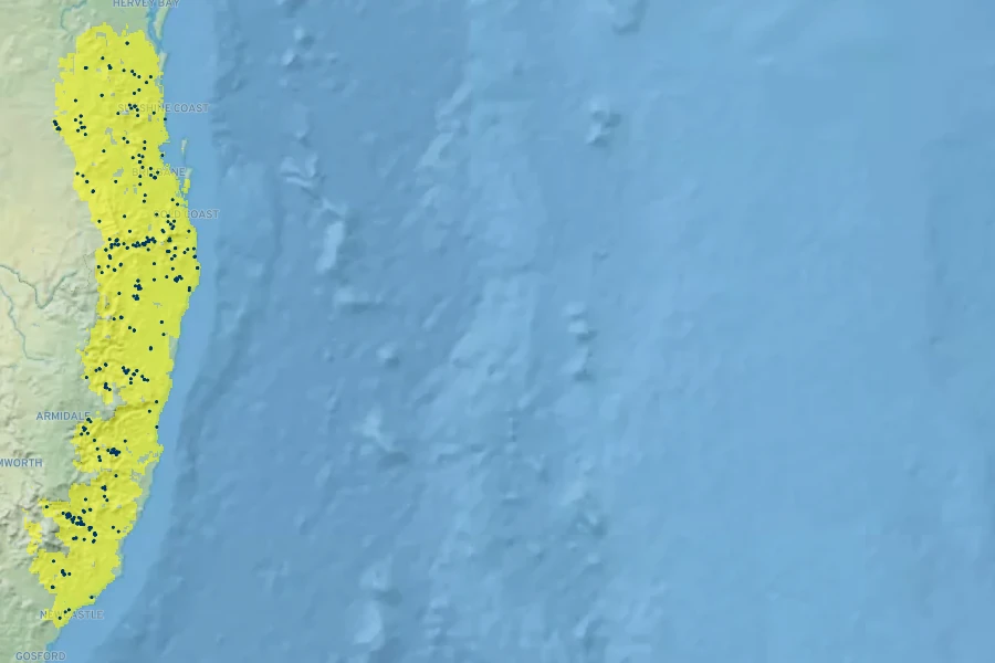 Brachychiton discolor Native Range