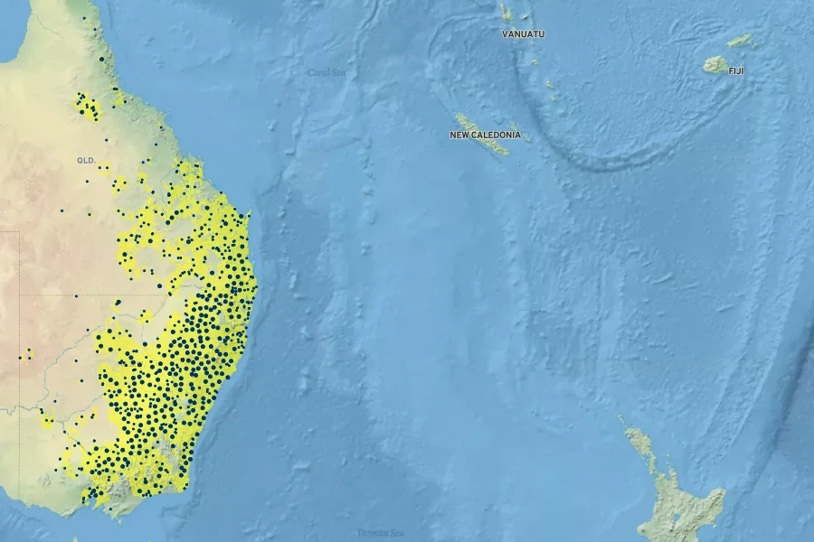 Brachychiton populneus Native Range