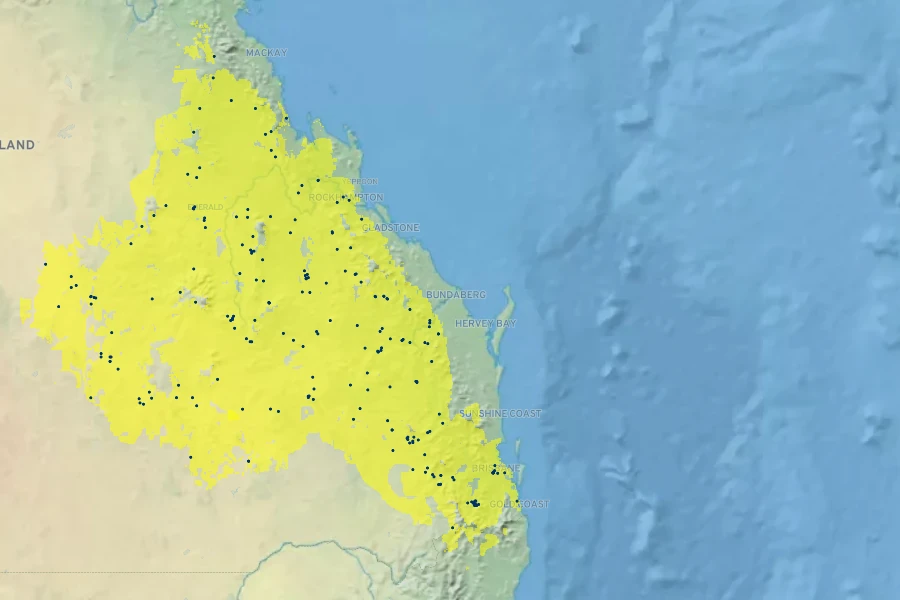 Brachychiton rupestris Native Range