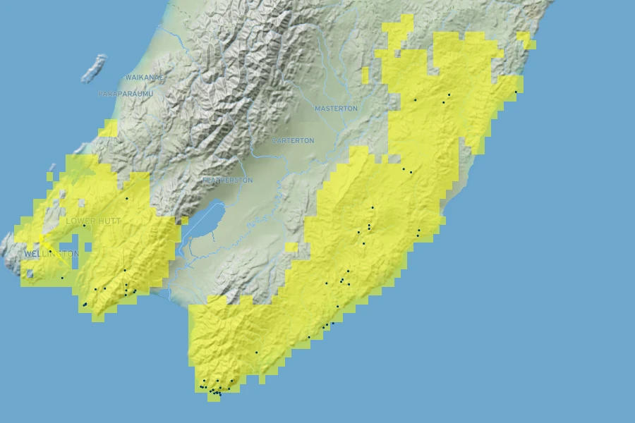 Brachyglottis greyi Native Range
