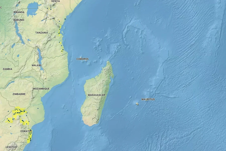 Brachylaena huillensis Native Range