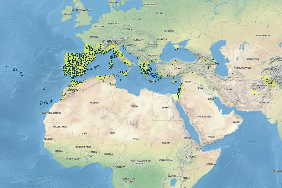 Brachypodium distachyon Native Range