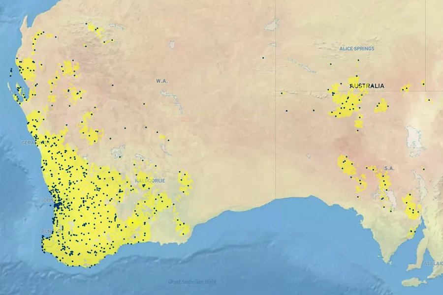 Brachyscome iberidifolia Native Range