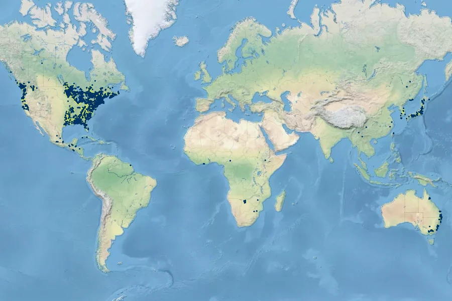 Brasenia schreberi Native Range